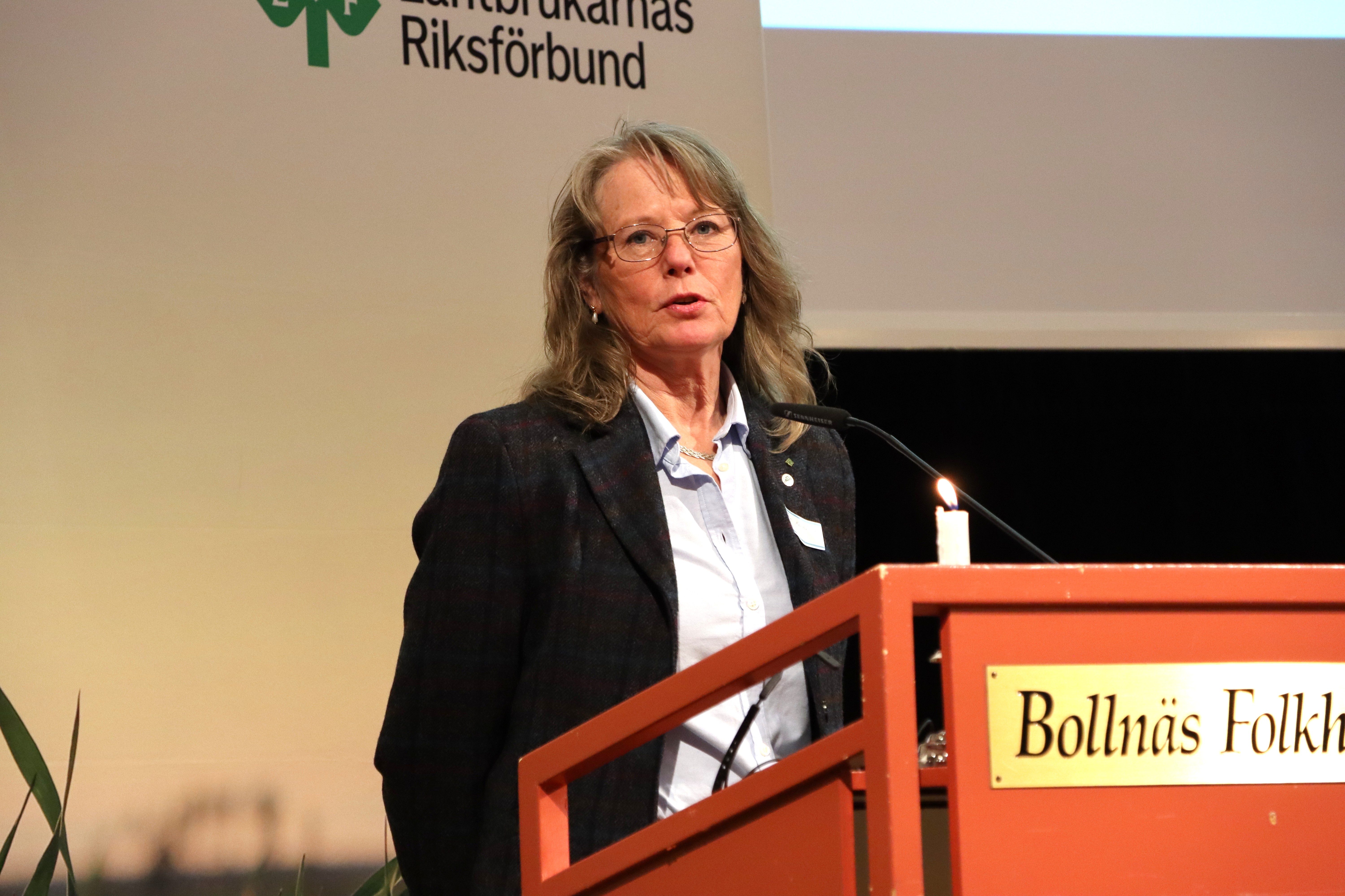 åsa karlström stämma gävleborg 2026